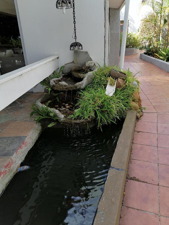 Mangolds Guest House Port Elizabeth Zewnętrze zdjęcie